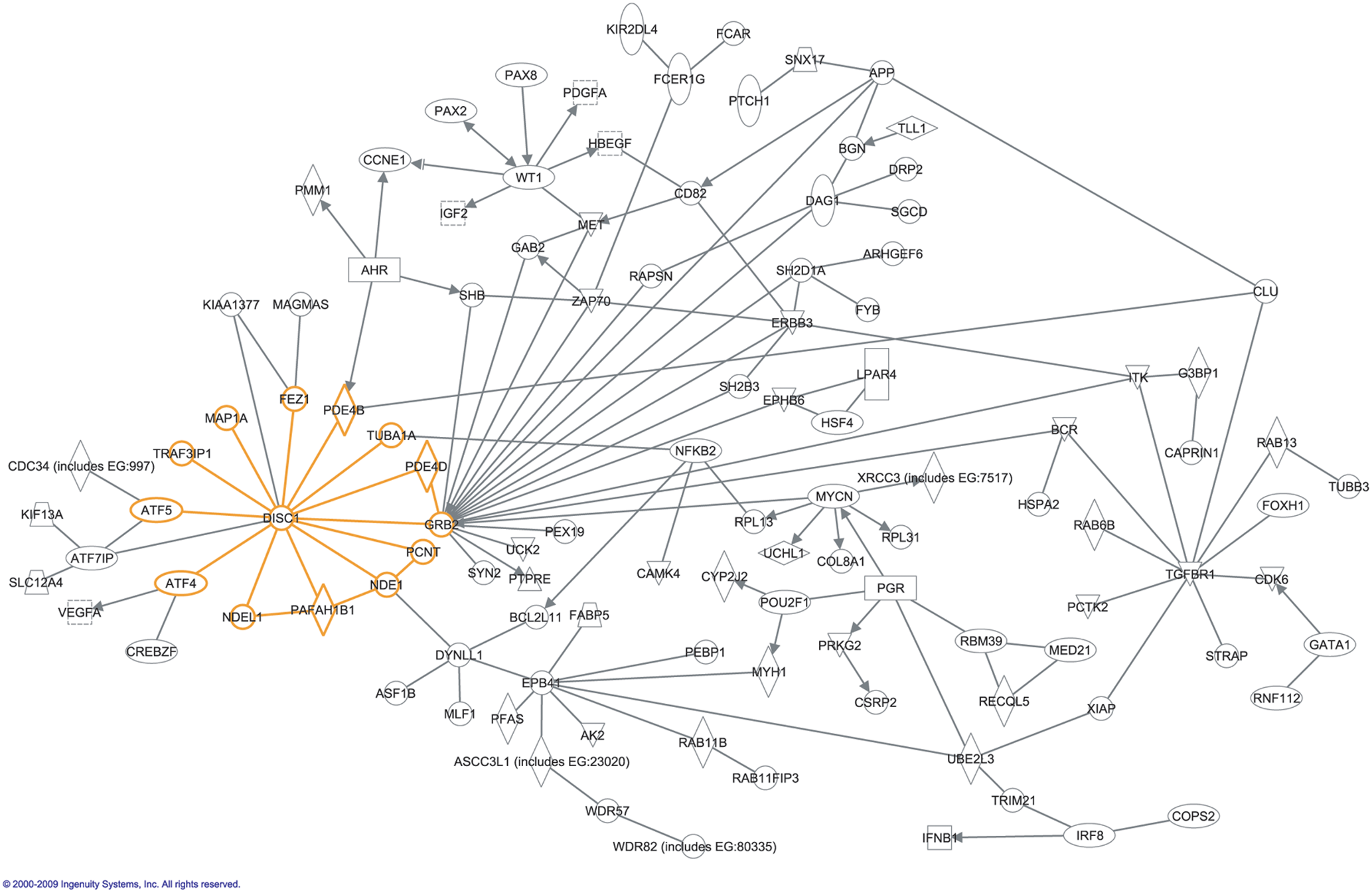 By Hennah, Porteous - [The DISC1 Pathway Modulates Expression of Neurodevelopmental, Synaptogenic and Sensory Perception Genes http://www.plosone.org/article/info%3Adoi%2F10.1371%2Fjournal.pone.0004906], CC BY 2.5, https://commons.wikimedia.org/w/index.php?curid=7681986